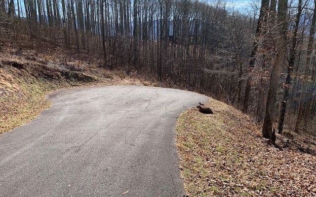 Lot 2 Rocky Knob Estates, Young Harris, GA 30582