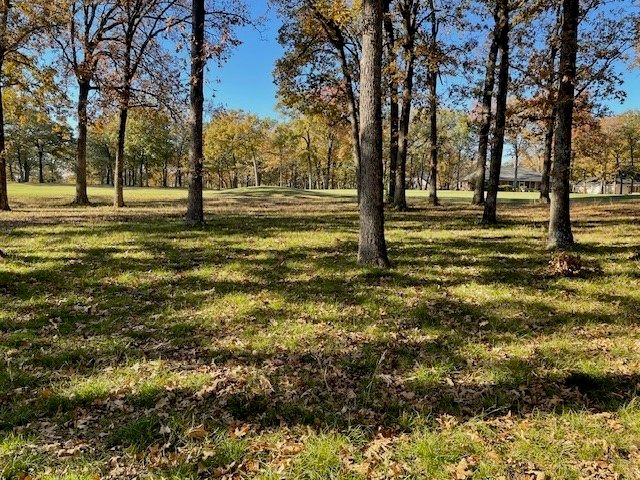 133 Pinnacle Club Drive, Mabank, TX 75156