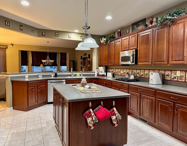 12856 Tahoe Drive, Huntley, IL 60142