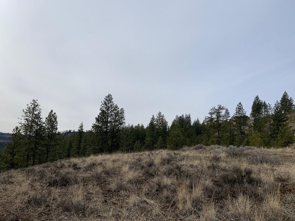 31805 Ruffed Grouse E Dr, Davenport, WA 99122 photo 11