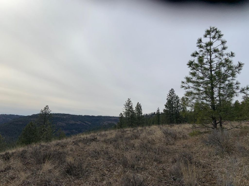 31805 Ruffed Grouse E Dr, Davenport, WA 99122 photo 12