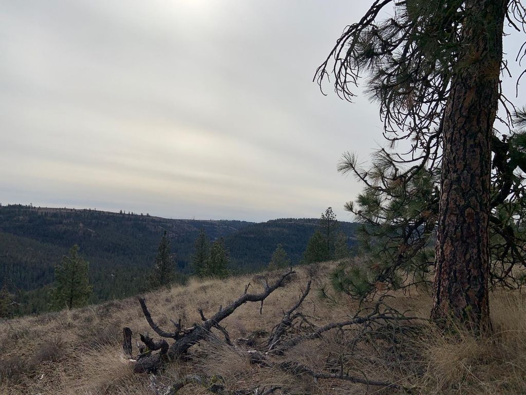 31805 Ruffed Grouse E Dr, Davenport, WA 99122 photo 13