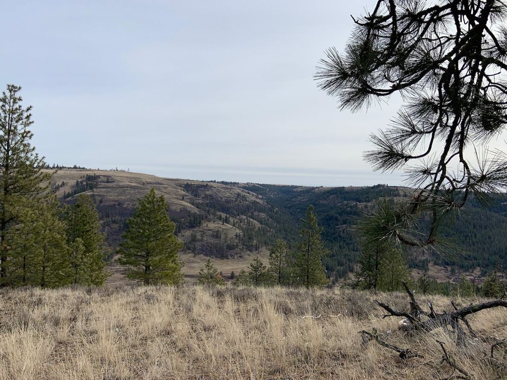 31805 Ruffed Grouse E Dr, Davenport, WA 99122 photo 14