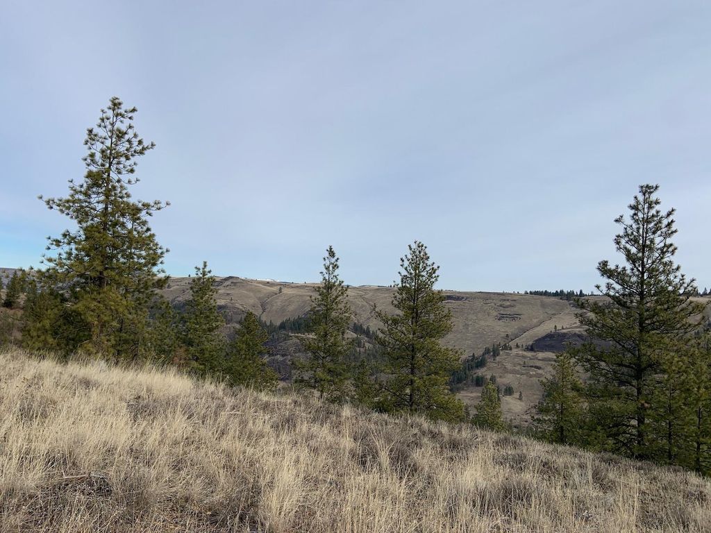 31805 Ruffed Grouse E Dr, Davenport, WA 99122 photo 15