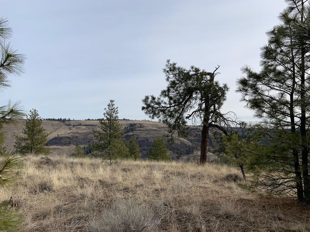 31805 Ruffed Grouse E Dr, Davenport, WA 99122 photo 16