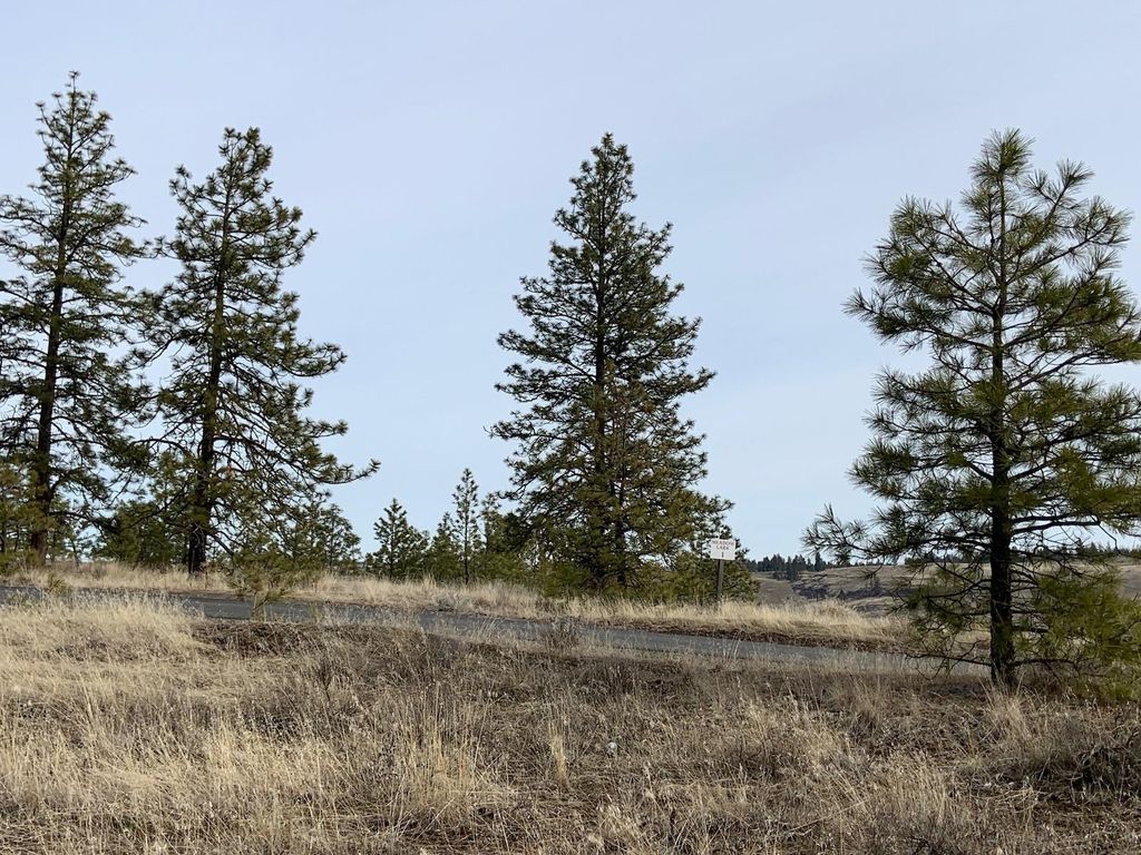 31805 Ruffed Grouse E Dr, Davenport, WA 99122 photo 4
