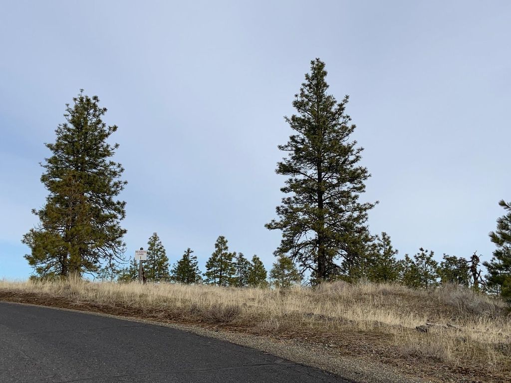 31805 Ruffed Grouse E Dr, Davenport, WA 99122 photo 5