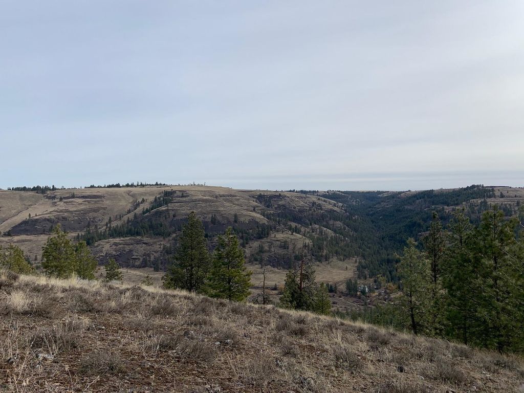 31805 Ruffed Grouse E Dr, Davenport, WA 99122 photo 9
