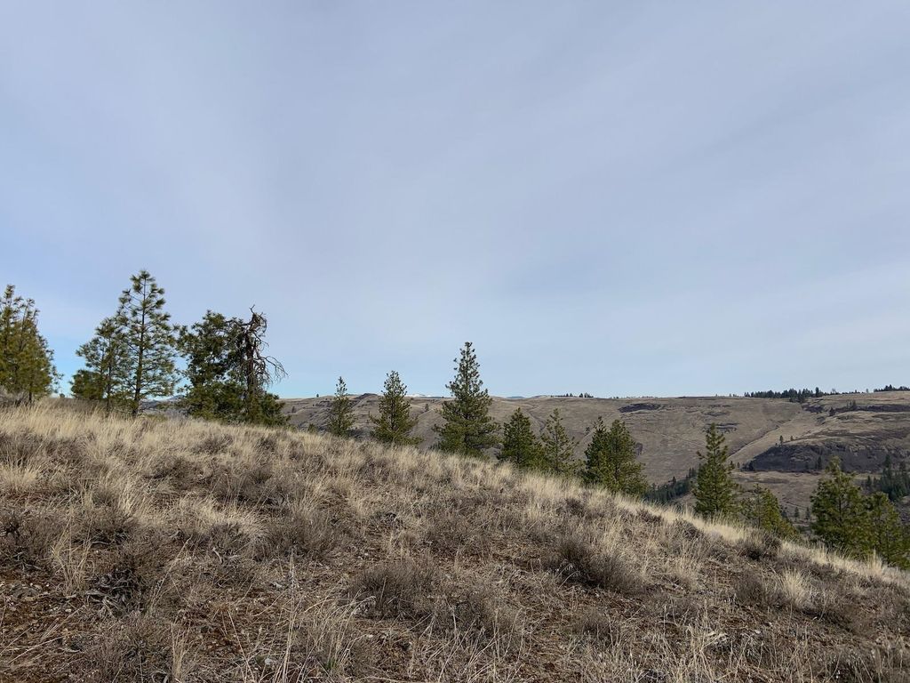 31805 Ruffed Grouse E Dr, Davenport, WA 99122 photo 10