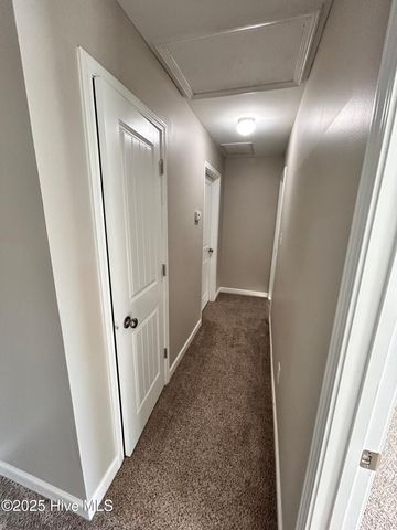 106 Blueberry Fields Road, Maple Hill, NC 28454