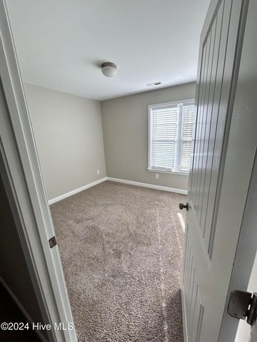 106 Blueberry Fields Road, Maple Hill, NC 28454