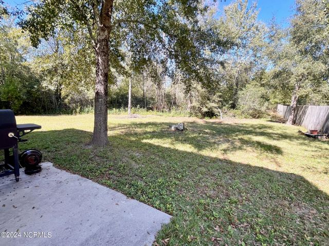 106 Blueberry Fields Road, Maple Hill, NC 28454