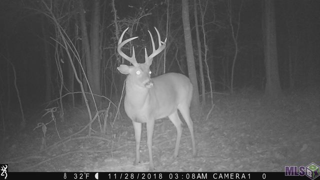 12033 River Rd, Baton Rouge, LA 70820