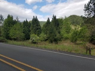 0 WILLIS CREEK Rd, Winston, OR 97496