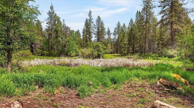 23311 N Crescent Rd, Chattaroy, WA 99003