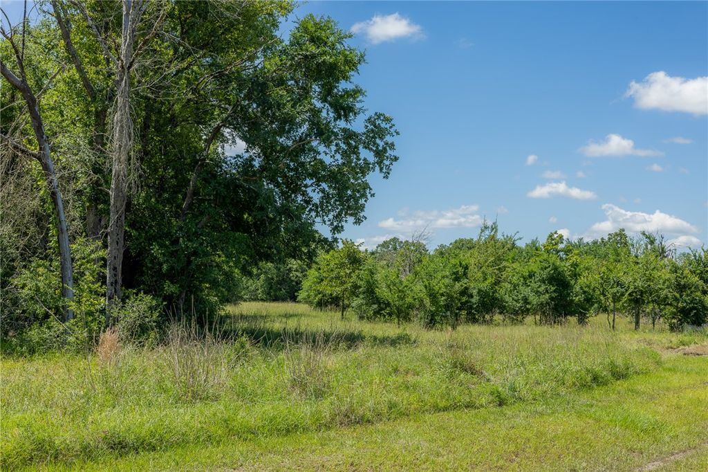 10649 Brushwood Cutoff, Bedias, TX 77831 — exterior
