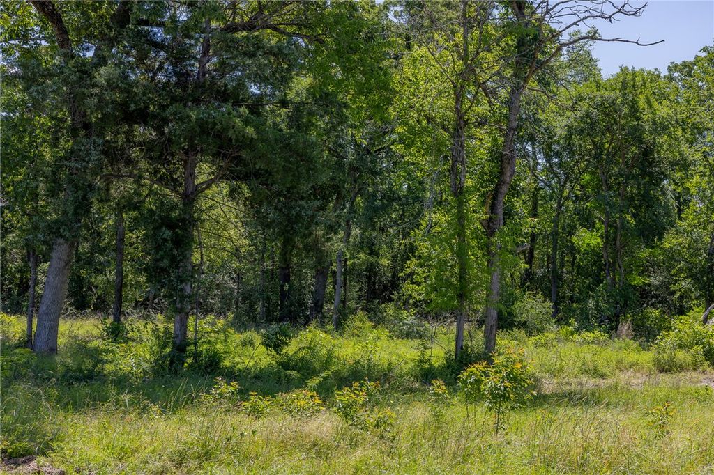 10649 Brushwood Cutoff, Bedias, TX 77831 — photo 2