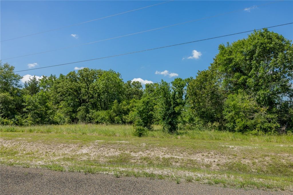 10649 Brushwood Cutoff, Bedias, TX 77831 — photo 3