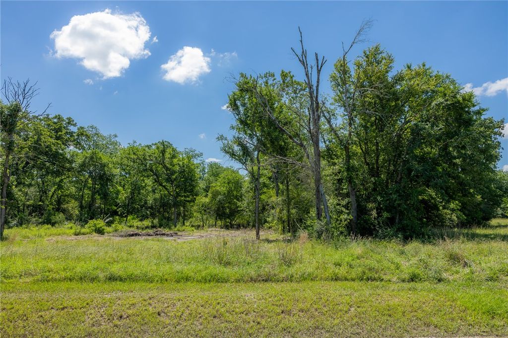 10649 Brushwood Cutoff, Bedias, TX 77831 — photo 4