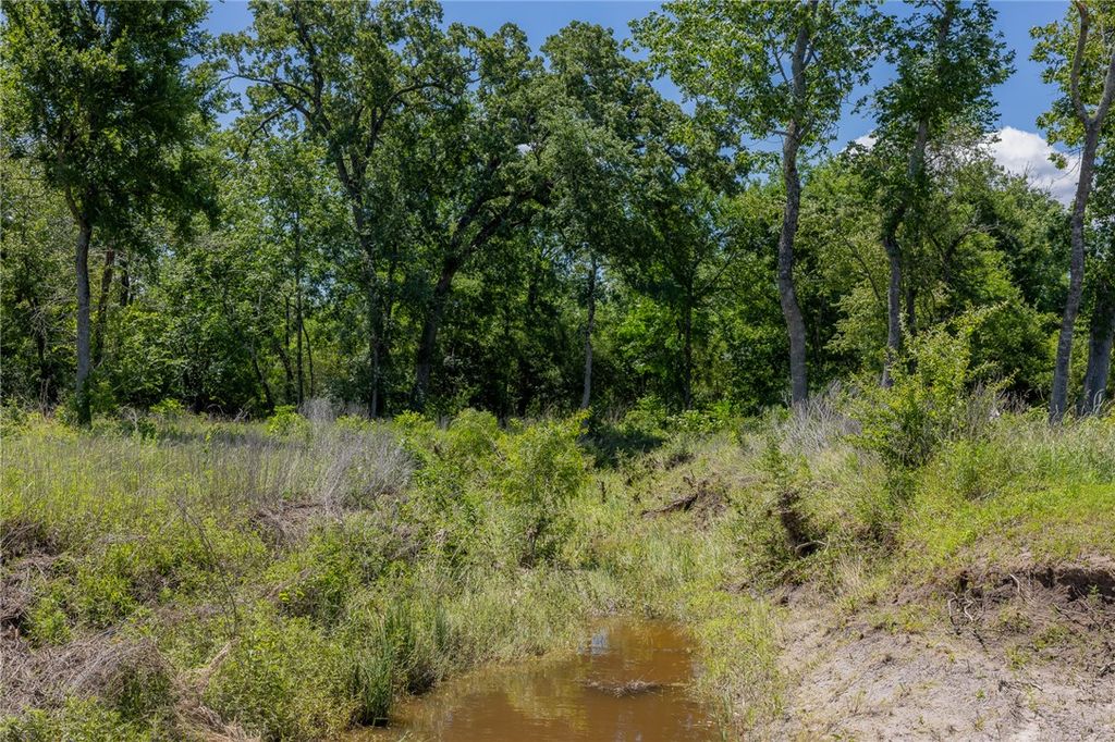 10649 Brushwood Cutoff, Bedias, TX 77831 — photo 5