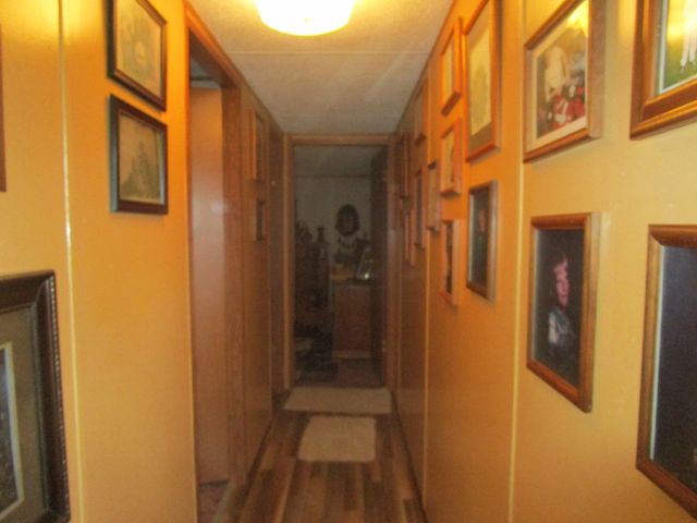 9065 County Road 3940, Mountain View, MO 65548