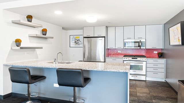 659 W Randolph Street 1016, Chicago, IL 60661