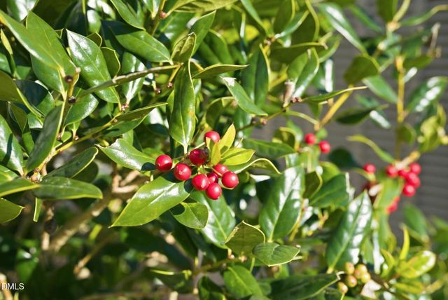 759 Putney Hill Road, Zebulon, NC 27597