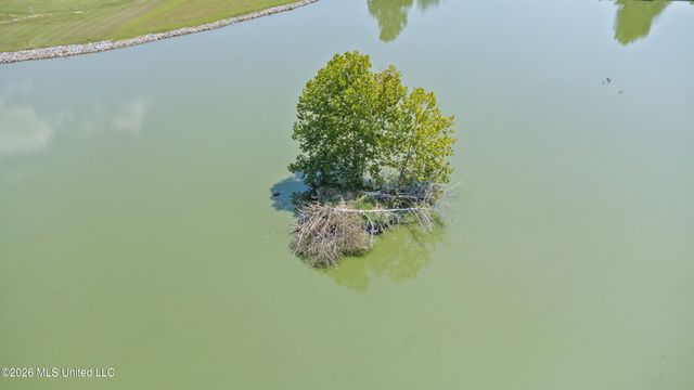 1975 Green Village Drive, Hernando, MS 38632