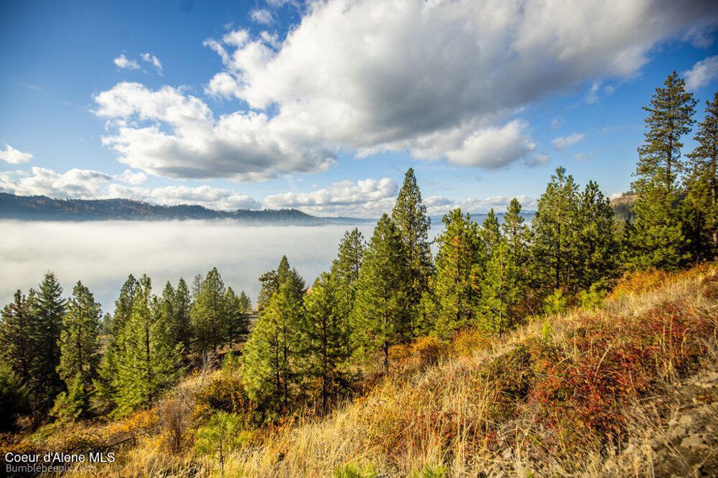 NNA Ledgestone Road, Harrison, ID 83833 photo 15