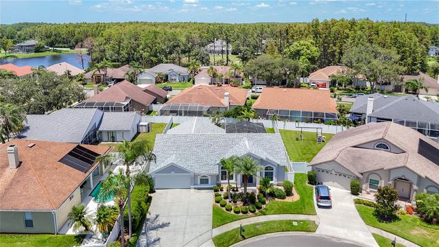 4105 ANGEL WING COURT, Lutz, FL 33558