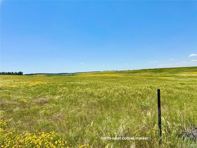 0 Wendling Trail Lot 29, Kiowa, CO 80117