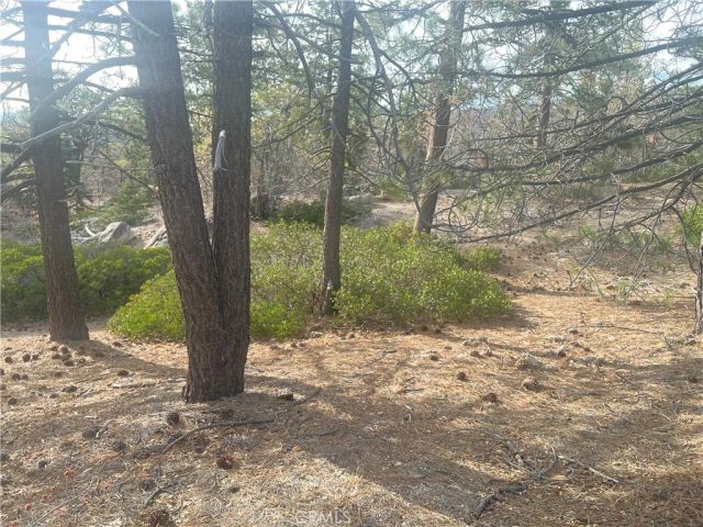 0 Hardy, Arrowbear, CA 92382