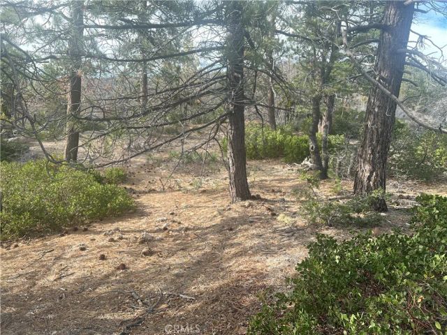 0 Hardy, Arrowbear, CA 92382