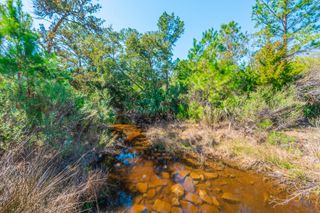 0 King Rail Lane, Edisto Island, SC 29438