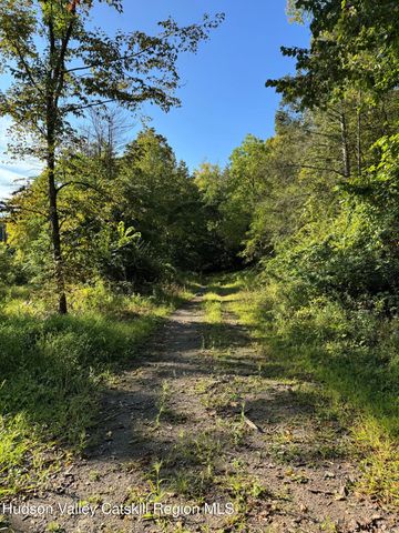 L2 High Rock Road, West Coxsackie, NY 12192