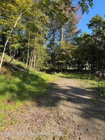 L2 High Rock Road, West Coxsackie, NY 12192