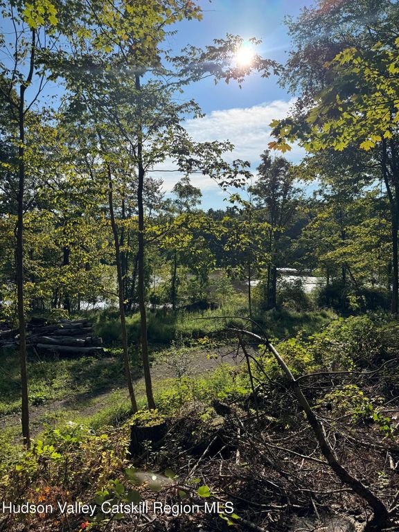 L2 High Rock Road, West Coxsackie, NY 12192