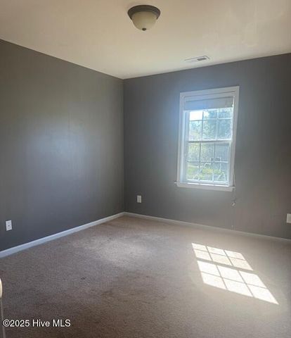 308 Big Tree Lane, Chinquapin, NC 28521