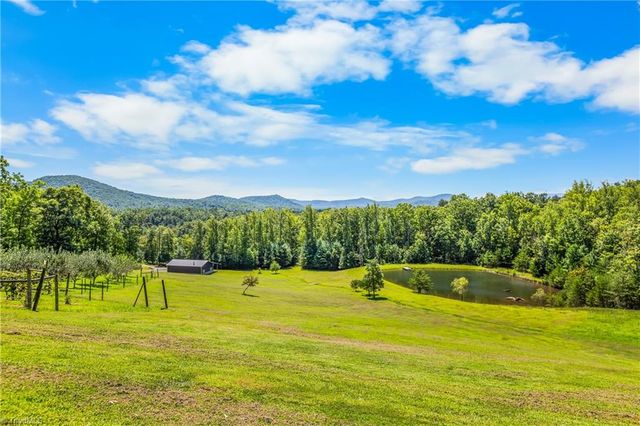 246 & 252 Bear Trail, Lowgap, NC 27024