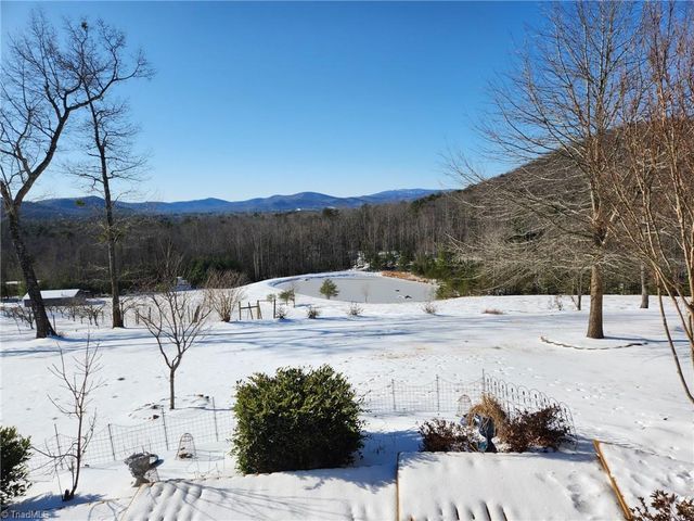 246 & 252 Bear Trail, Lowgap, NC 27024