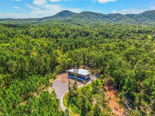 246 & 252 Bear Trail, Lowgap, NC 27024