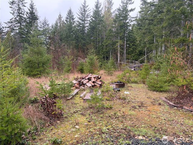 156 Whitney Road, Quilcene, WA 98376