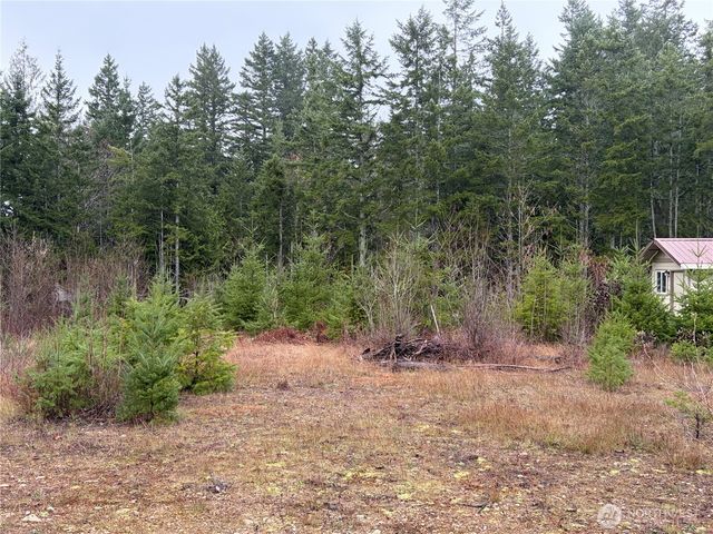 156 Whitney Road, Quilcene, WA 98376