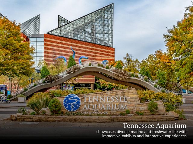 Lot 139 Edgewater Way, Jasper, TN 37347