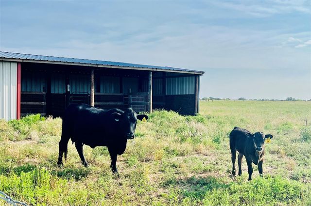 7210 Goehring Road, Ledbetter, TX 78946