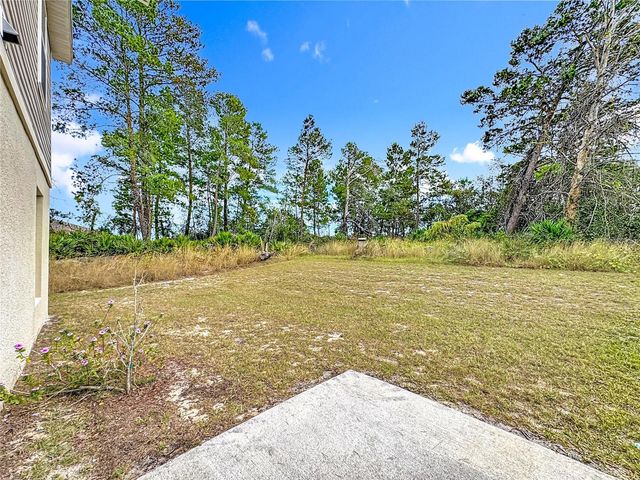 166 MAPLE DRIVE, Kissimmee, FL 34759