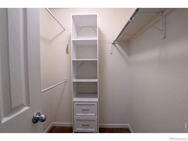 6937 Raleigh Street, Wellington, CO 80549