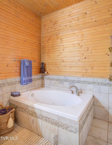 665 Laurels Road, Johnson City, TN 37601