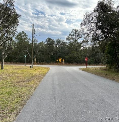56 N Fresno Avenue, Hernando, FL 34442