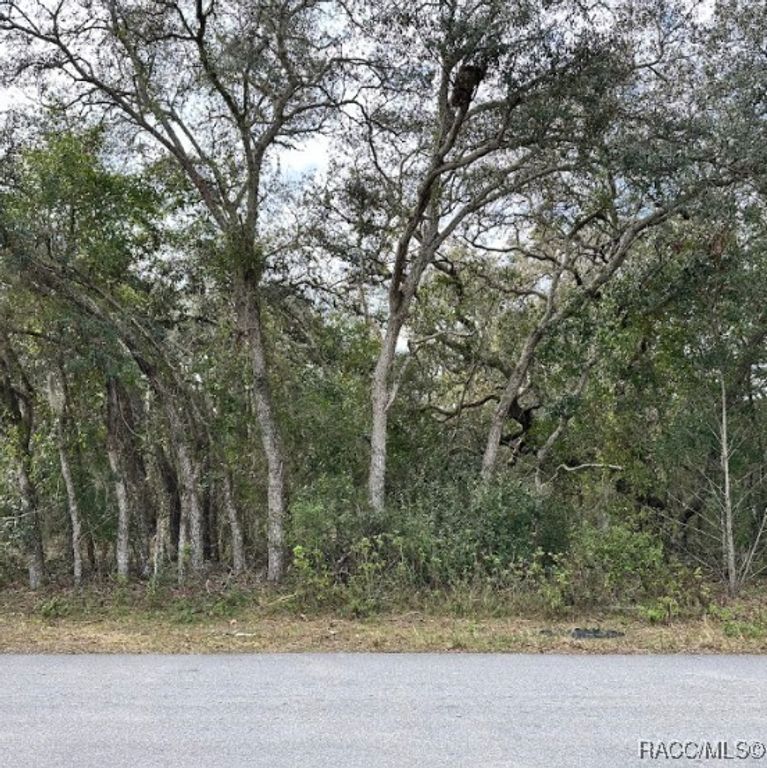 56 N Fresno Avenue, Hernando, FL 34442